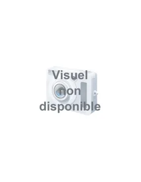 antidépots verts 5 l - algimouss